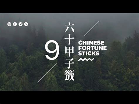 龍虎相隨在深山單身|解籤查詢－第九籤